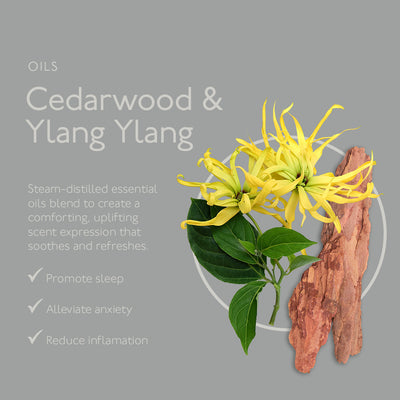 Renew Cedarwood & Ylang Ylang Hand & Body Lotion