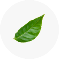 Amyris