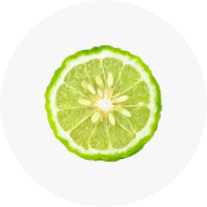 Bergamot