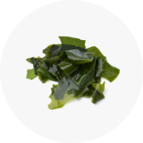 Kelp Extract