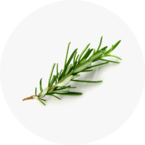 Rosemary