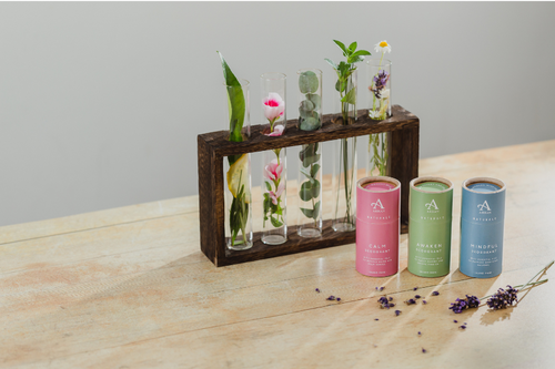 My Journey with Natural Deodorant