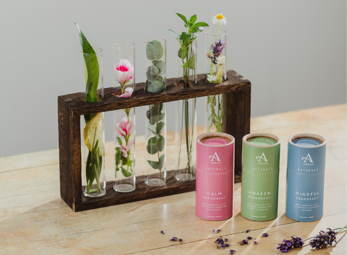 Underarms Unplugged: What Happens If You Stop Using Deodorant?