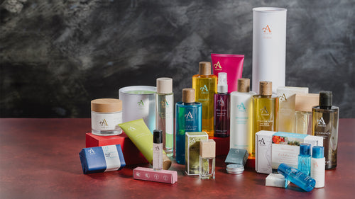 Black Friday Begins!