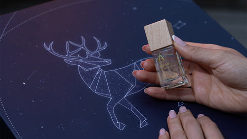 How to Choose The Best Advent Calendar 2023