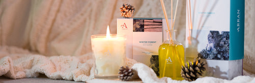 Behind the Blend: Winter Forest