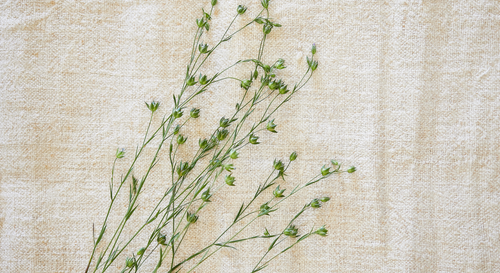 Gifts for friends that show you care: ARRAN’s fragrant favourites