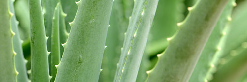 Introducing our NEW Antibacterial Hand Gel