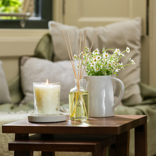 The Best Diffusers for a Calm Home