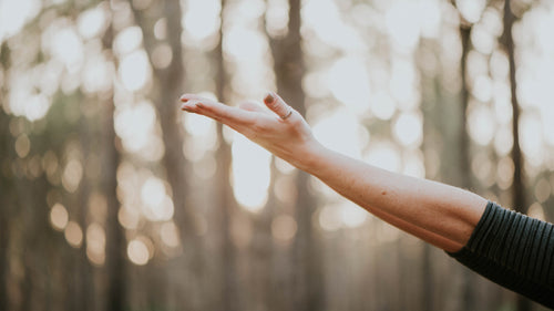 Our Top Wellness Tips