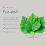 Renew Cedarwood & Ylang Ylang Hand & Body Lotion