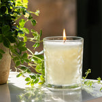 Cedarwood & Citrus 35cl Candle