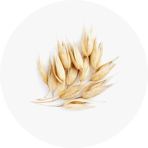 Barley