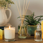 Cedarwood & Citrus 28cl Candle