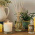 Cedarwood & Citrus 28cl Candle