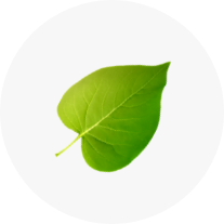 Green Leaf