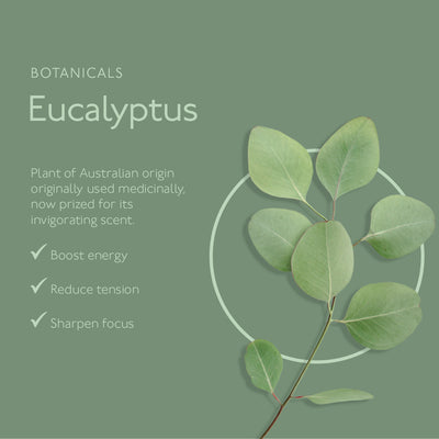 Awaken Mint & Eucalyptus Natural Body Wash