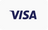 Visa icon